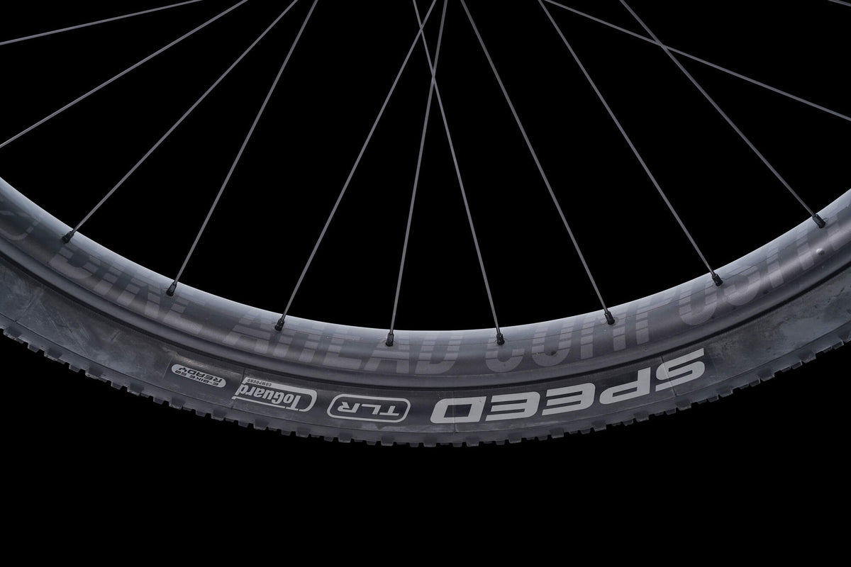 Bike Ahead THE FRAME HT - GX