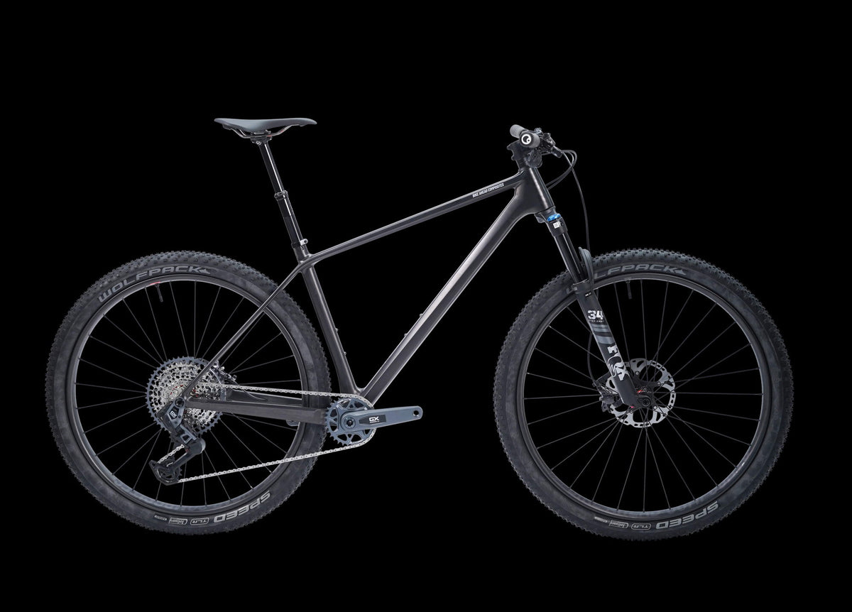 Bike Ahead THE FRAME HT - GX