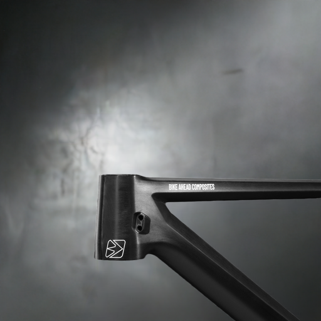 Bike Ahead Frameset "THE FRAME"
