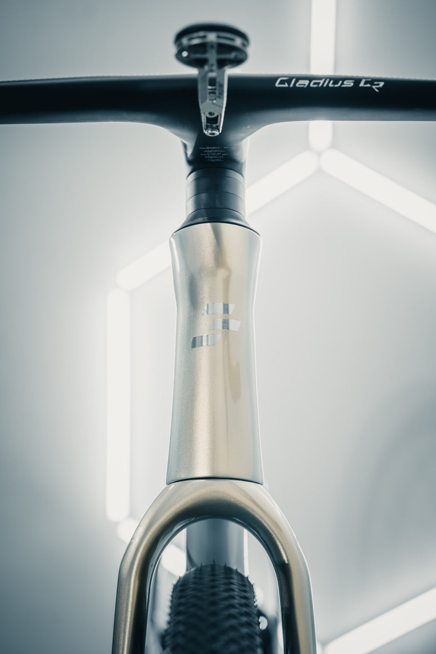 Seka ExAero GR Stardust Silver - Bremse Detail