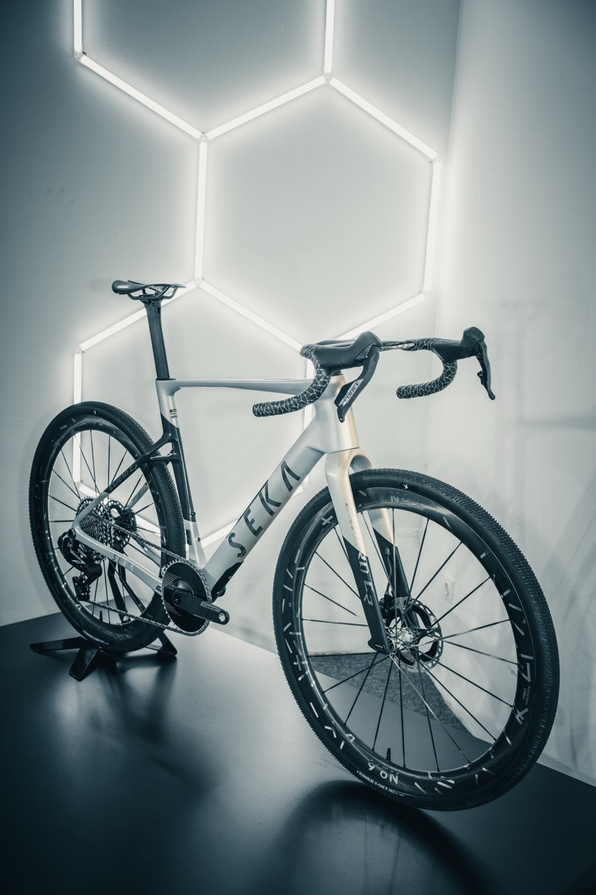 Seka ExAero GR Stardust Silver - Hinterrad Detail