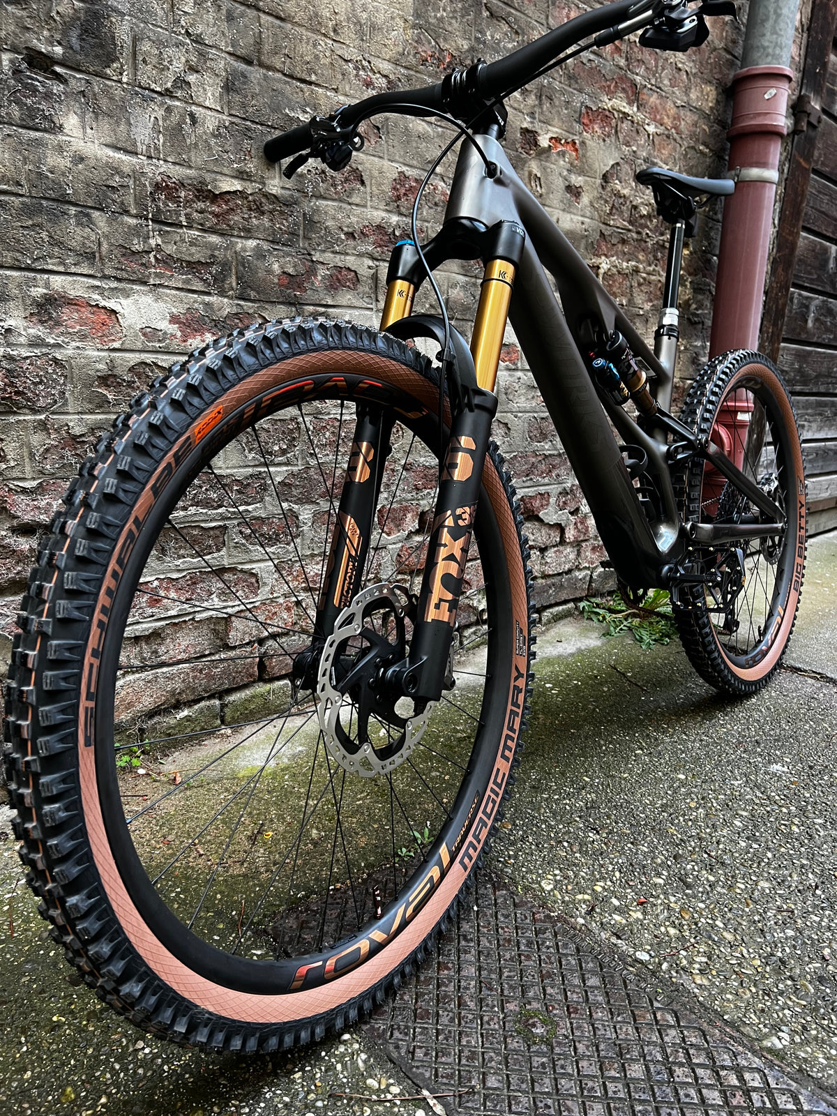 Specialized S-Works Stumjumper Evo Custum