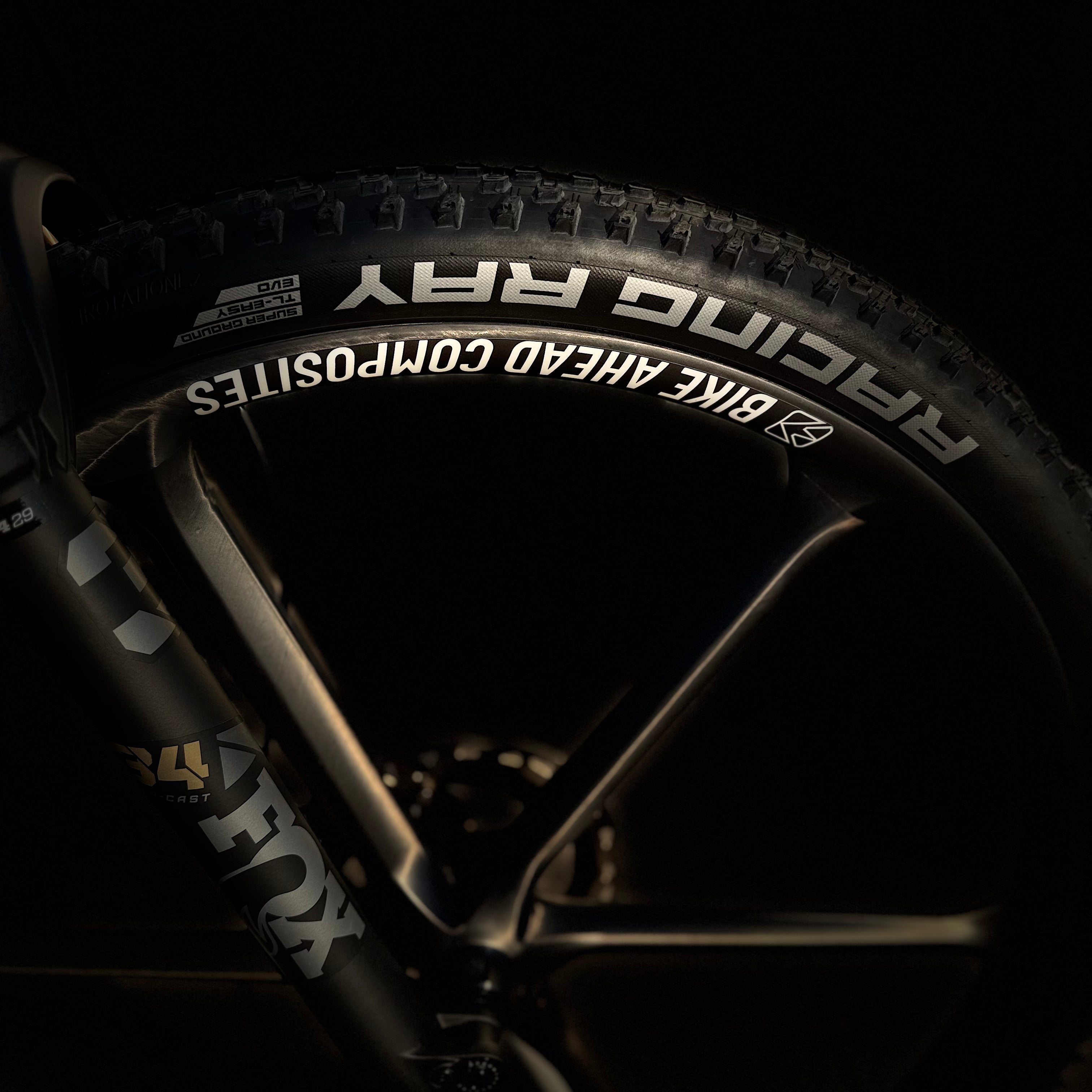 Bike Ahead THE FRAME HT - XX SL