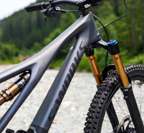 Specialized S-Works Stumpjumper Custom