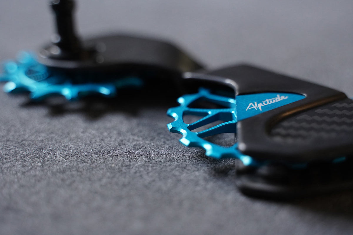 Alpitude Brandtal ODC SRAM Detail