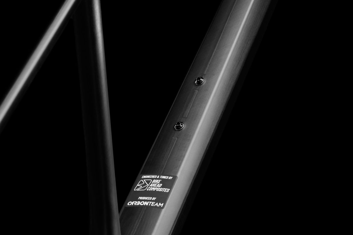 Bike Ahead Frameset "THE FRAME"